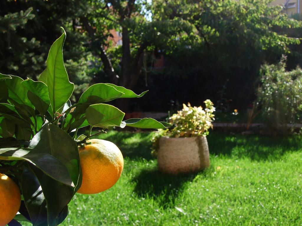 Margerita Apartment&Studio Rovigno Esterno foto